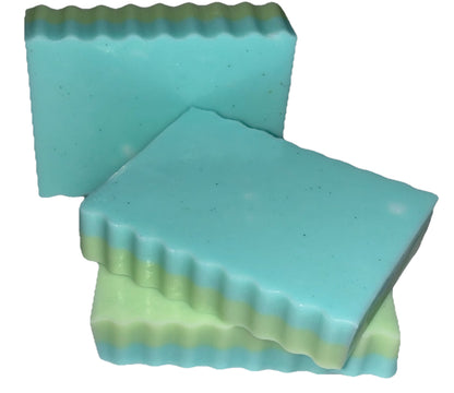 Eucalyptus Mint Soap Bar