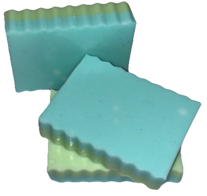 Eucalyptus Mint Soap Bar