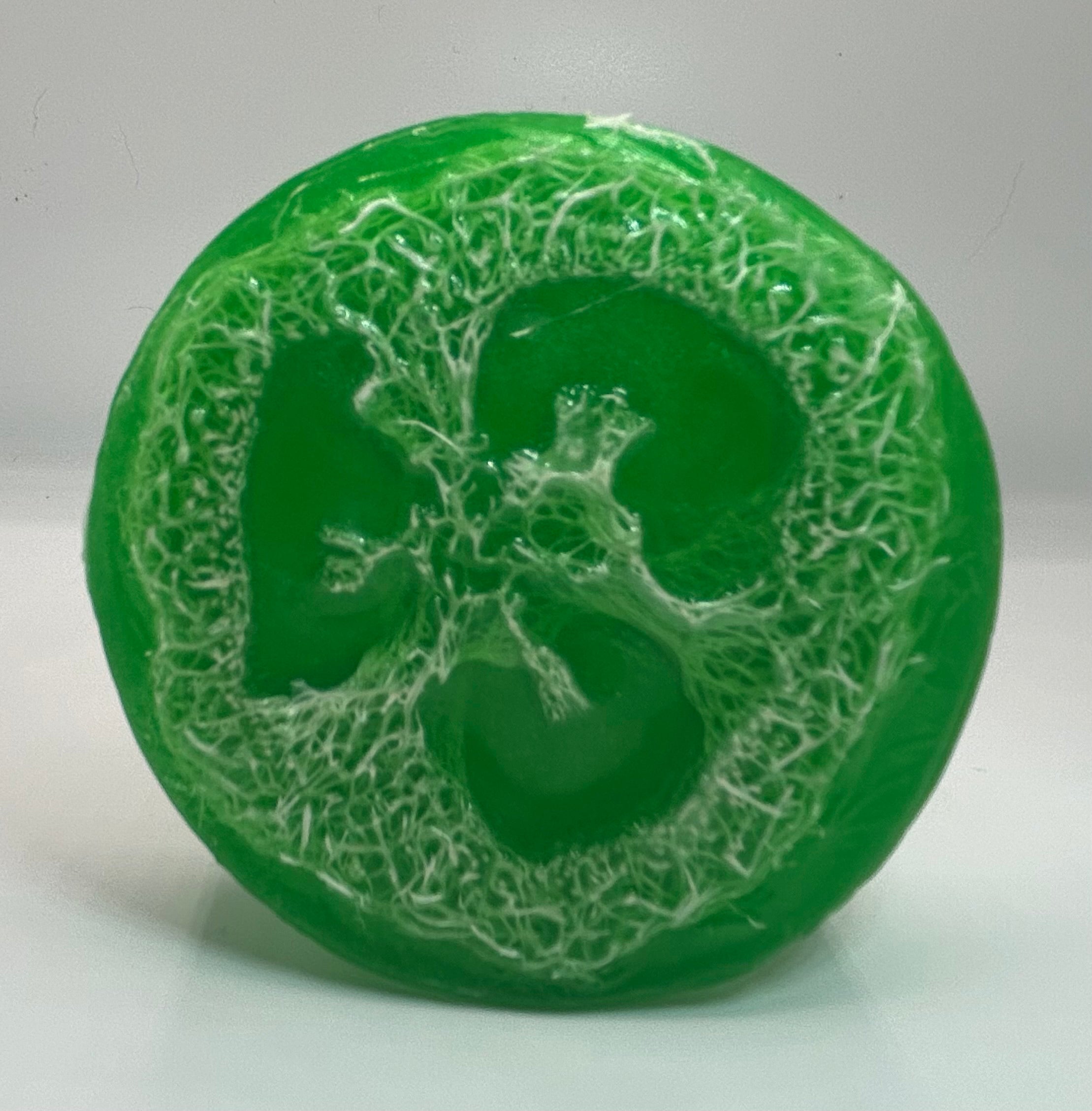 Loofah Soap Bar