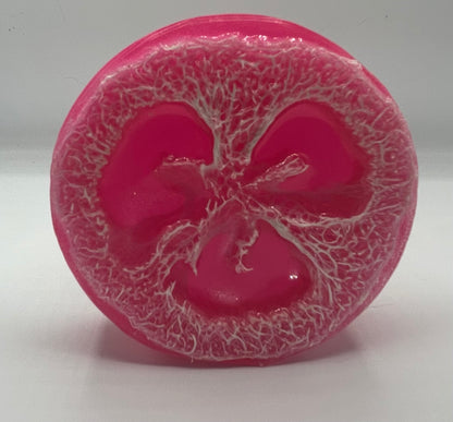Loofah Soap Bar